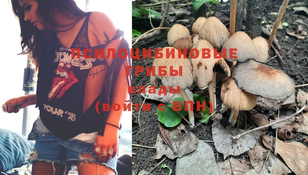 apvp Алексеевка