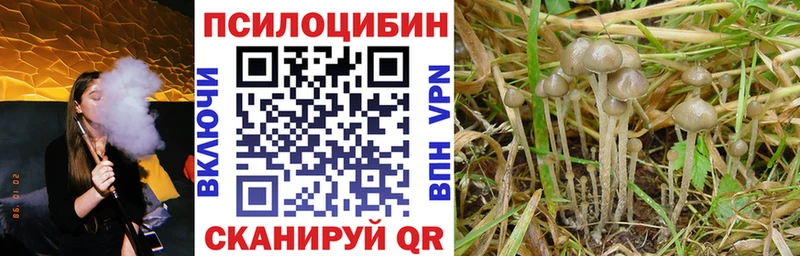 где купить   Апатиты  Псилоцибиновые грибы мухоморы 